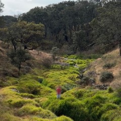 Me&MyDog - daylight (the end mix)