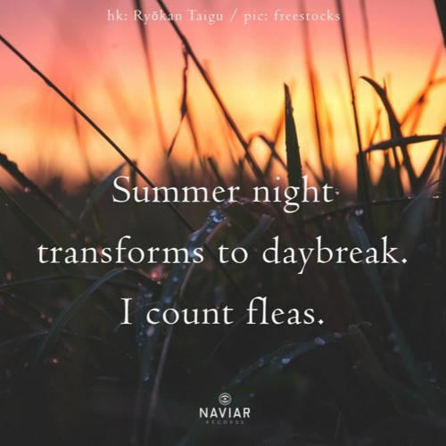 Daybreak (naviarhaiku479)