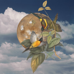 Nothing Left to Give