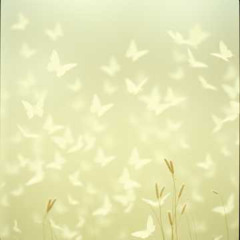 I want my sunshine(extended)