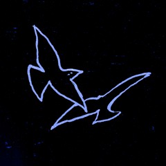SHOOQA 22 - BIRDS (SHE COULD HAVE WRITEN THIS SONG)