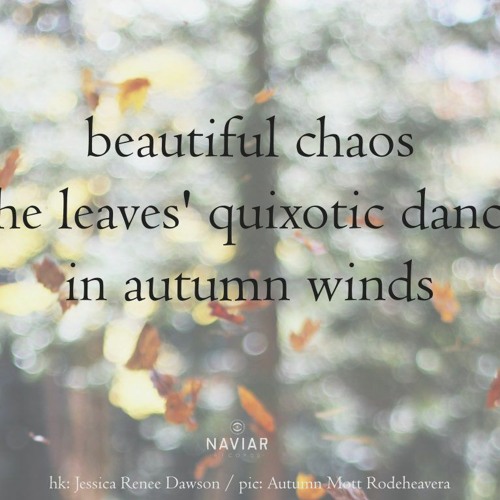 Beautiful Chaos  ( Naviarhaiku 467 )
