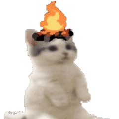 Burn em