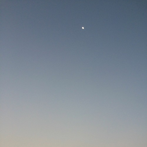 if the world ends, find me here