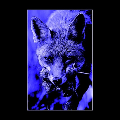 TRIIB - Malevolence II