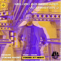VOICES RADIO // MELODIC SOUNDSCAPES 002 - DEC 22