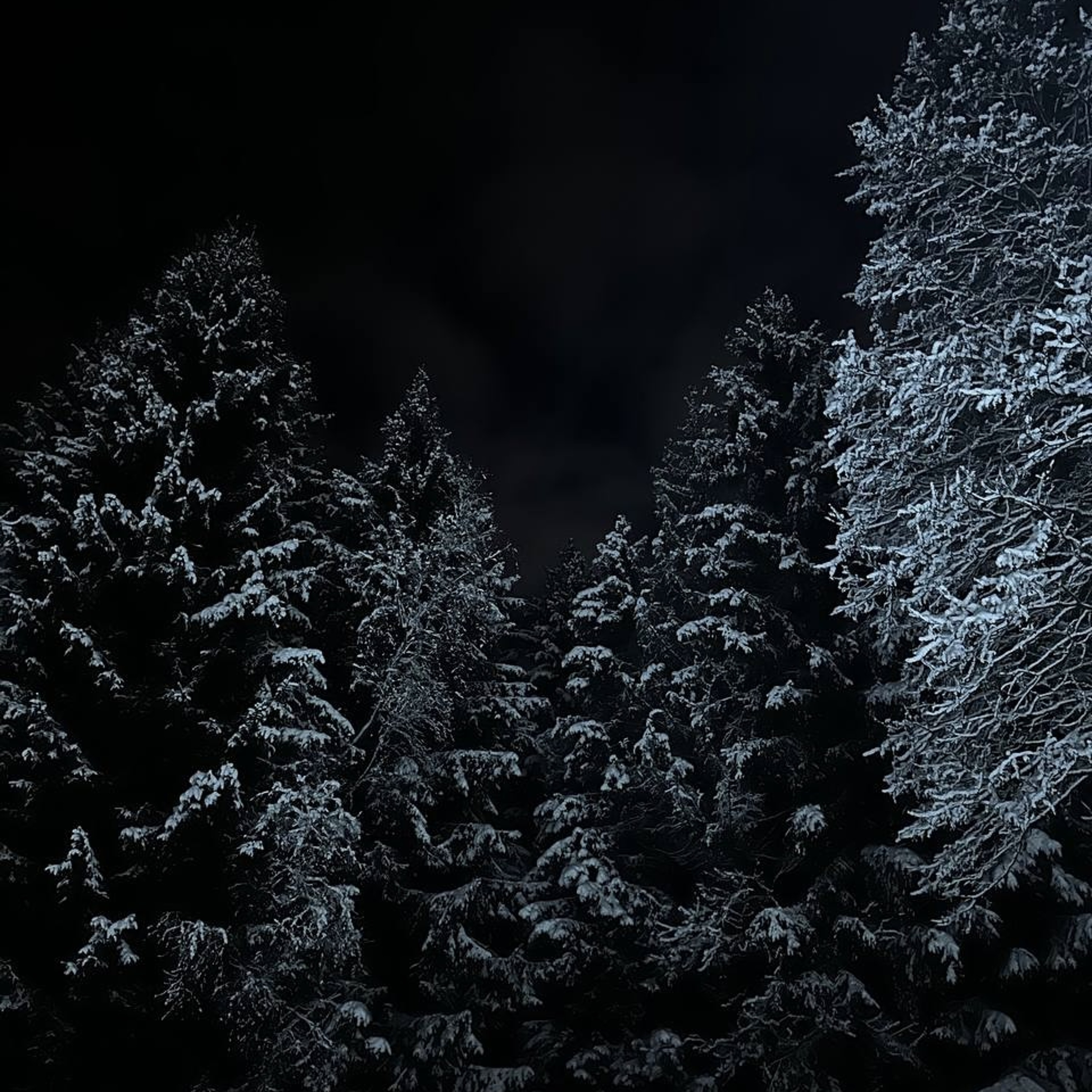 Winter Tale episode artwork