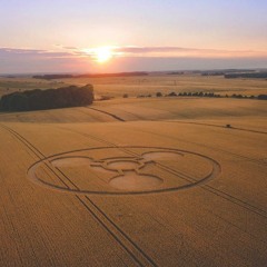 Crop Circle 🛸👽(Prod.demandemoi)