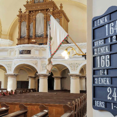 20260201 Róm 14,13–19 Kovács Tímár Ildikó