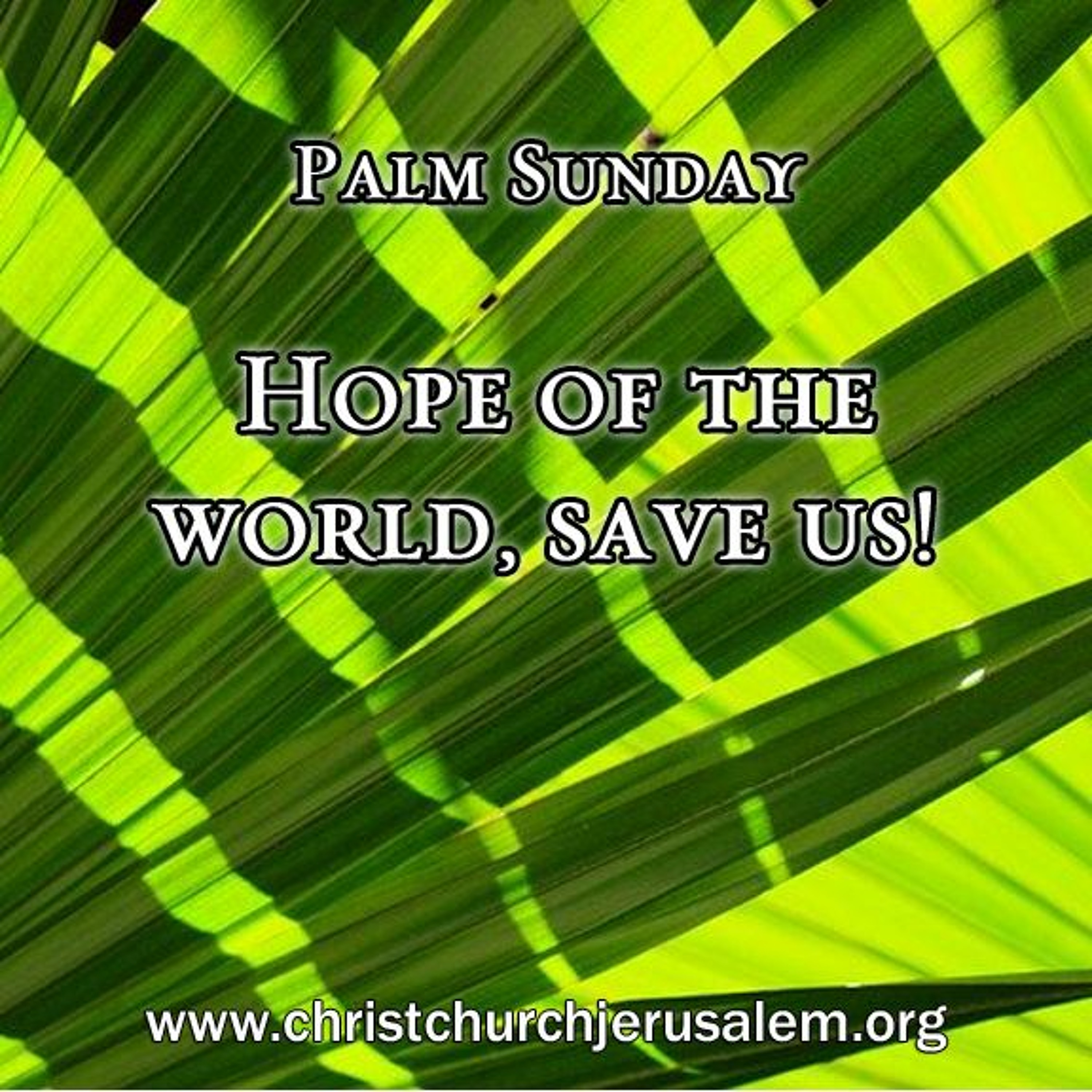Christ Church Jerusalem