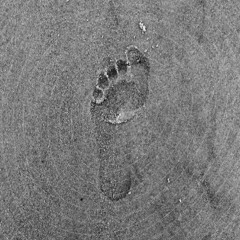 THE InFacTion presents THE ART OF WALK.wav