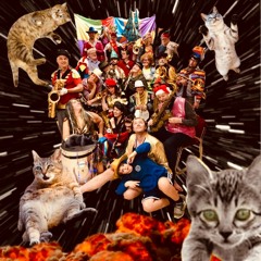 Liquid Sunshine Bed Track 7