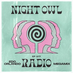 Night Owl Radio 377 ft. EDC Orlando 2022 Mega-Mix