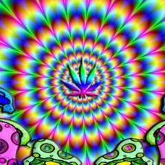 Hi-Tech Solutions Meow