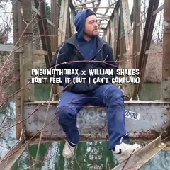 Pneumothorax x William Shakes - I Don't Feel It (But I Can't Complain)