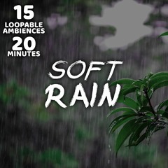 Soft Rain Ambience - Asset Preview