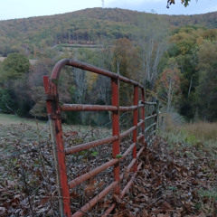 Pumpkins and Bigfoot - The Signalman Show, S7 E14