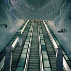 Untitled 11