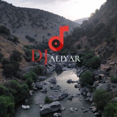 Dj Aliyar_varoonegi (وارونگی)