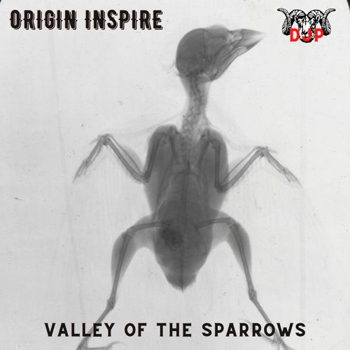 Origin Inspire - Valley Of The Sparrows