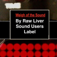 Weigh Of The Sound (Original Mix) By Raw Liver- Free download