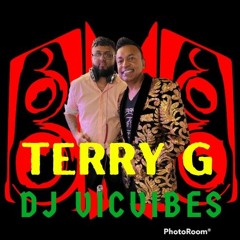 TERRY G X VICVIBES