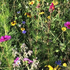 Wave_Good Connection