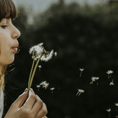 Releasing Fears, clearings Access  Consciousness