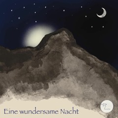 Eine wundersame Nacht