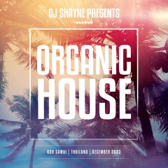 🎧 4 HOUR SUNSET BEACH MIX | CHILLED OUT ORGANIC HOUSE | KOH SAMUI - THAILAND | DECEMBER 2023 🔊
