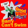 Good Vibes Only Mix : Barry Can't Swim DJ mix artwork - Electronic music tracklist cover image