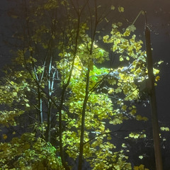 свет или тень