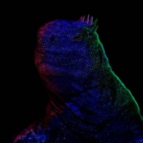 Premiere: Honeysmack "Switcher" - Awesome Soundwave