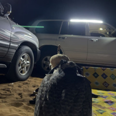 لـ عبدالله بن شايق