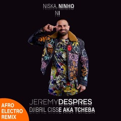 Niska Ft Ninho - NI (Djibril Cissé Tcheba X Jeremy Despres, Afro House Remix)
