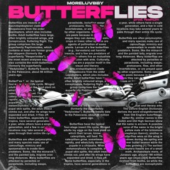 butterflies (feelnum)