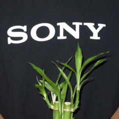 ｓｏｎｙ