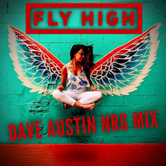 Fly High (Dave Austin NRG Mix)