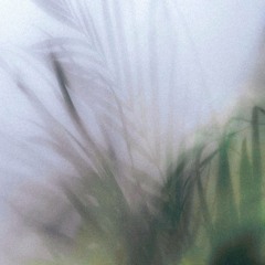 fuzz