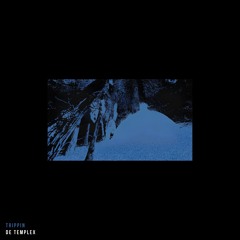 De Templex - Trippin
