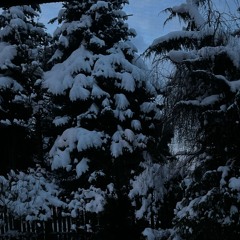 fckxanny - nobody to blame