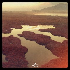 Sundrenched - the last day of september
