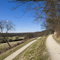Les coteaux de l’Aulnoye, la promenade de la Dhuis, la forêt de Bondy et le rôle des continuités écologiques au sein de la Ceinture verte