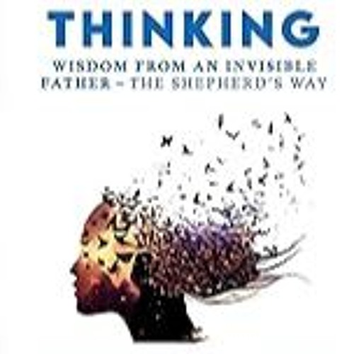 Read B.O.O.K (Award Finalists) Rethink Your Way of Thinking: Wisdom From An Invisible Fath