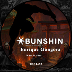 Enrique Gongora - What U Need (VIP MIX) (FREE DOWNLOAD)
