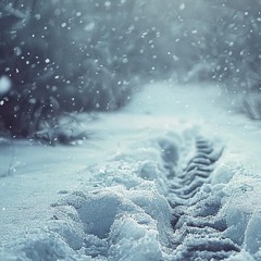 Just Relax and your let your Mind float