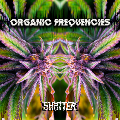 Organic Frequencies (All Original Mix 2021)