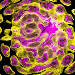 Soul (Beat For Sale)