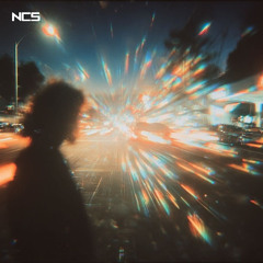 Nolan van Lith - Did It Mean Forever [NCS Release]