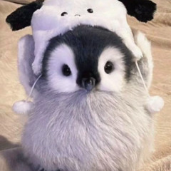 Take me to the moon!